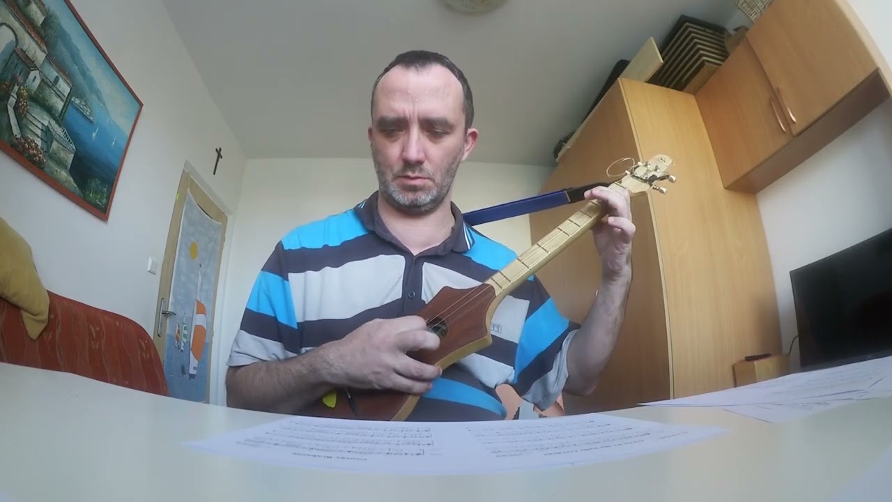 George Brabazon for  DAD Merlin Seagull with 1+ fret 