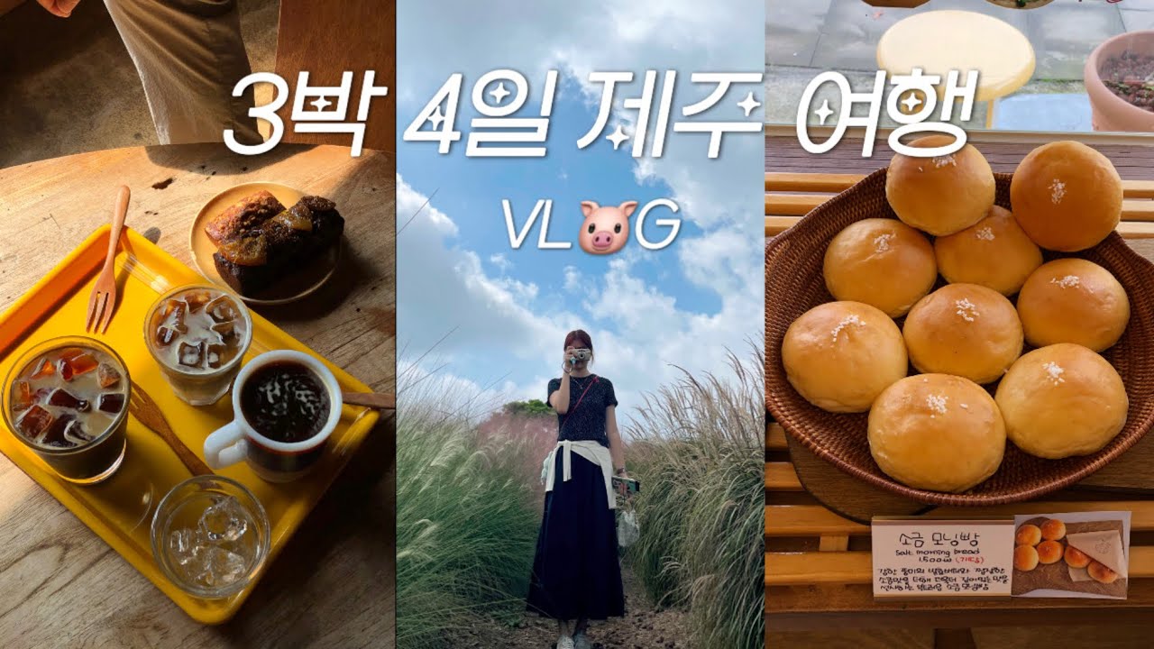 [Vlog] 제주 여행•가을 제주 느좋이네...🍂•이번 여행은 플랜B•맛집 뿌셔•카멜리아힐•소품샵 투어•신라호텔•나도왔다 탱글•동박생이•딱새우회 먹어야지..🦐•인생팥빙수•비밀의 숲