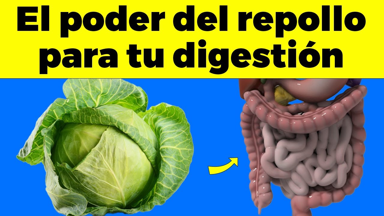 Esto le PASA a tu DIGESTIÓN si comes REPOLLO DIARIO