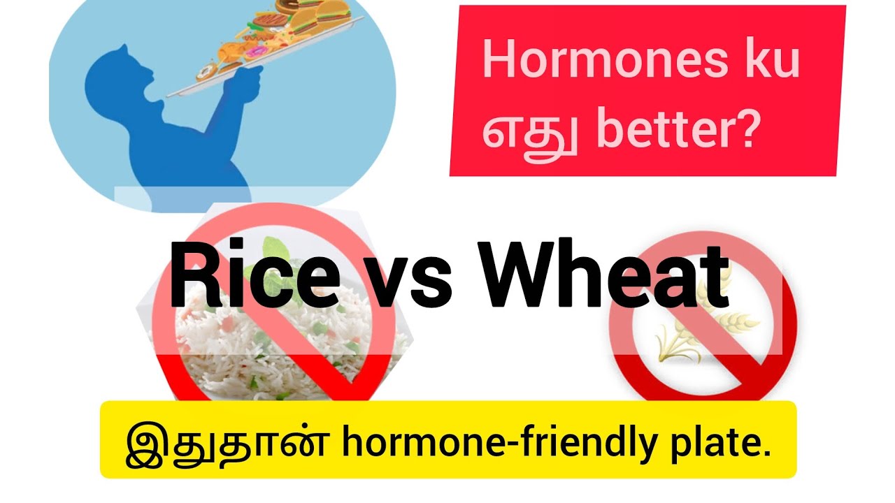 Rice vs Wheatன்னு fight இல்ல