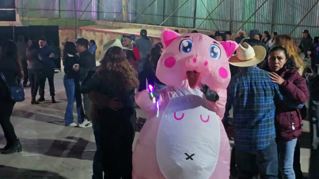 Baile de dia 1 de febrero feria ibarra 2026