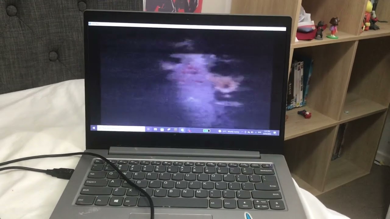 Opening to Signs DVD