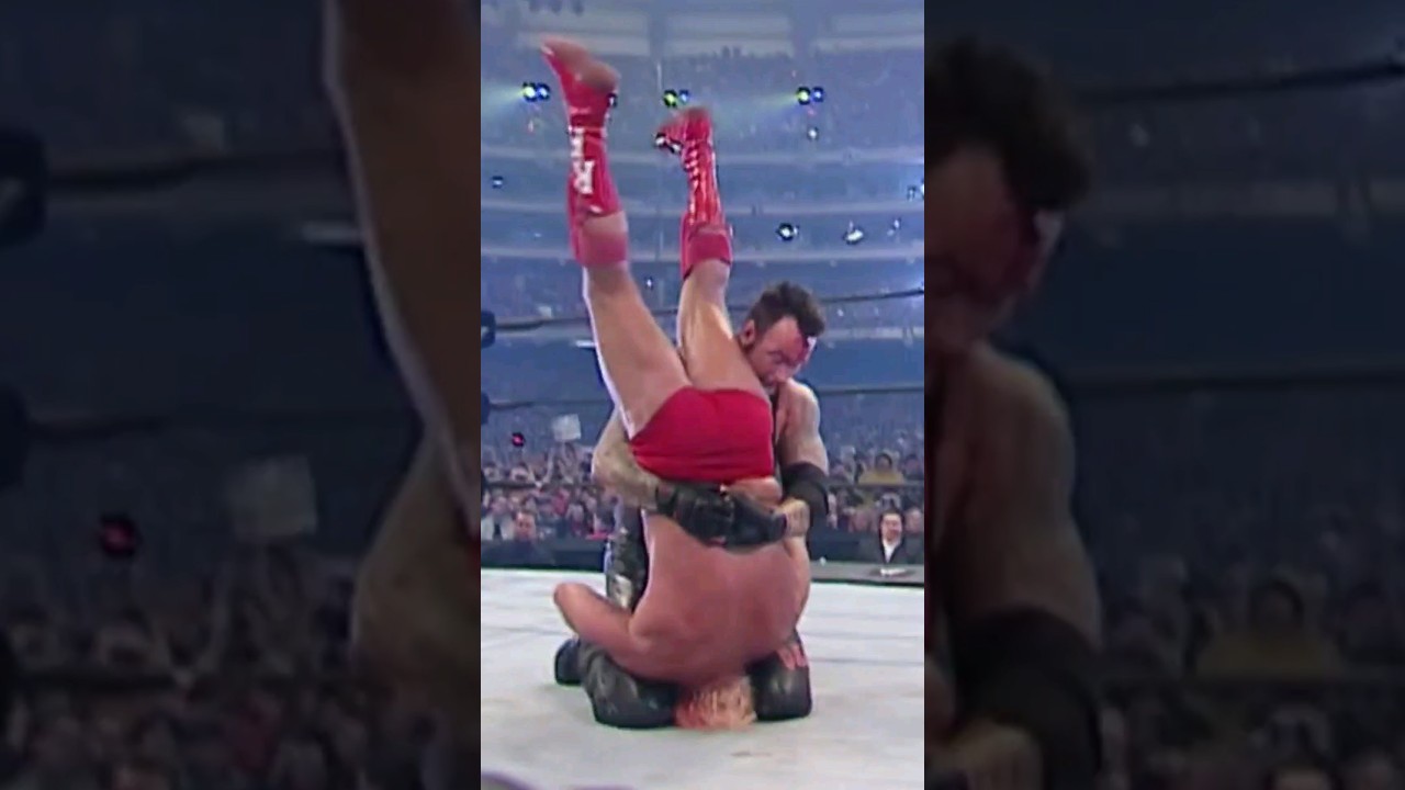 Undertaker vs. Ric Flair