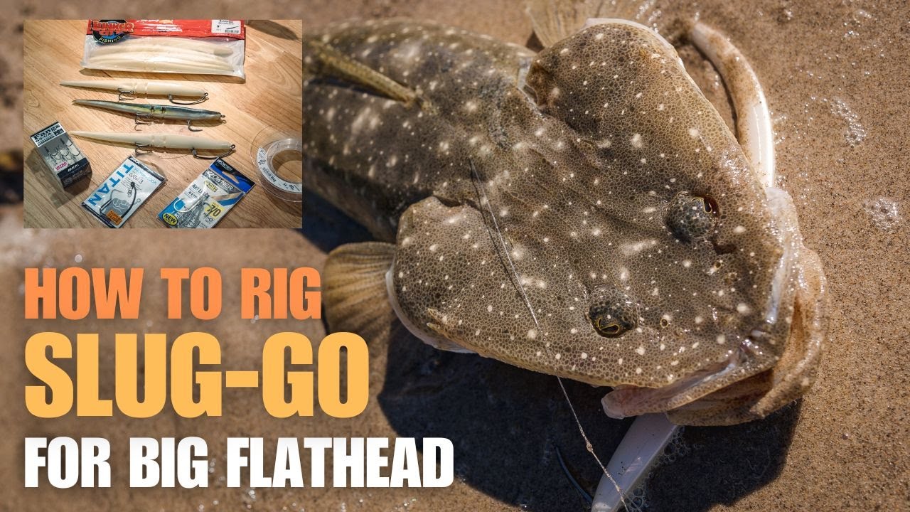 How to rig SLUG-GO soft plastics for BIG FLATHEAD in shallow water