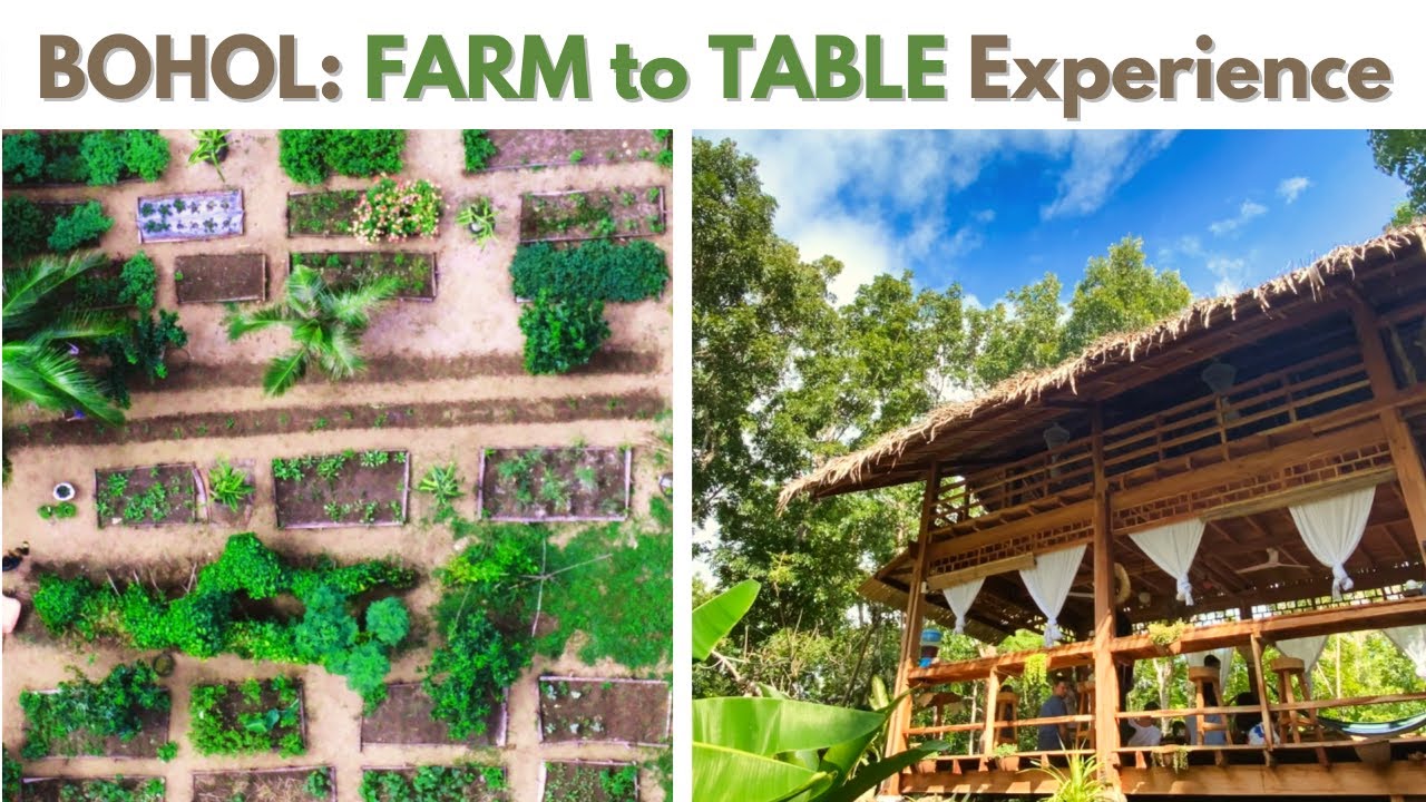 Unique Farm to Table Experience in Bohol (The FRMCY)
