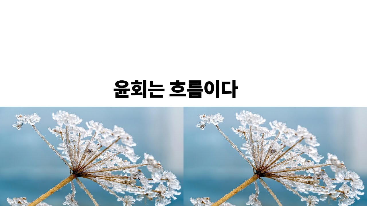 동시성과 윤회 흐름은 이어지되 주인은 없다 #명상#견성성불#불교경전