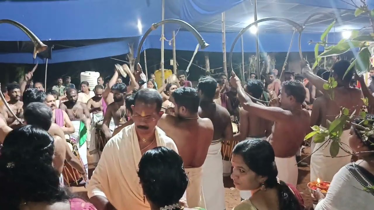 ചെണ്ടമേളം, തൃക്കുളം ഋഷി പറമ്പത്ത് ശ്രീ ഭദ്രകാളി ക്ഷേത്രം താലപ്പൊലി #chendamelam #ulsavam #thalappoli