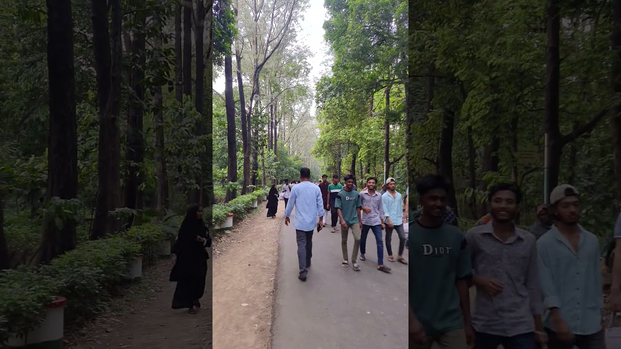 জাতীয় চিড়িয়াখানা 