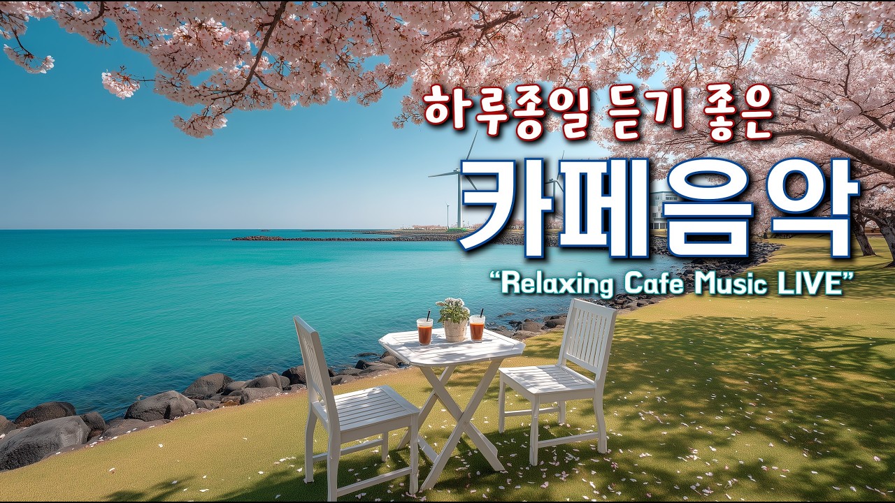 카페에서 듣기 좋은 음악과 하루를 함께 하세요 ☕일할때 듣기 좋은 음악 🎧아침에 듣기 좋은 음악 | Relaxing Cafe Music Playlist 260302