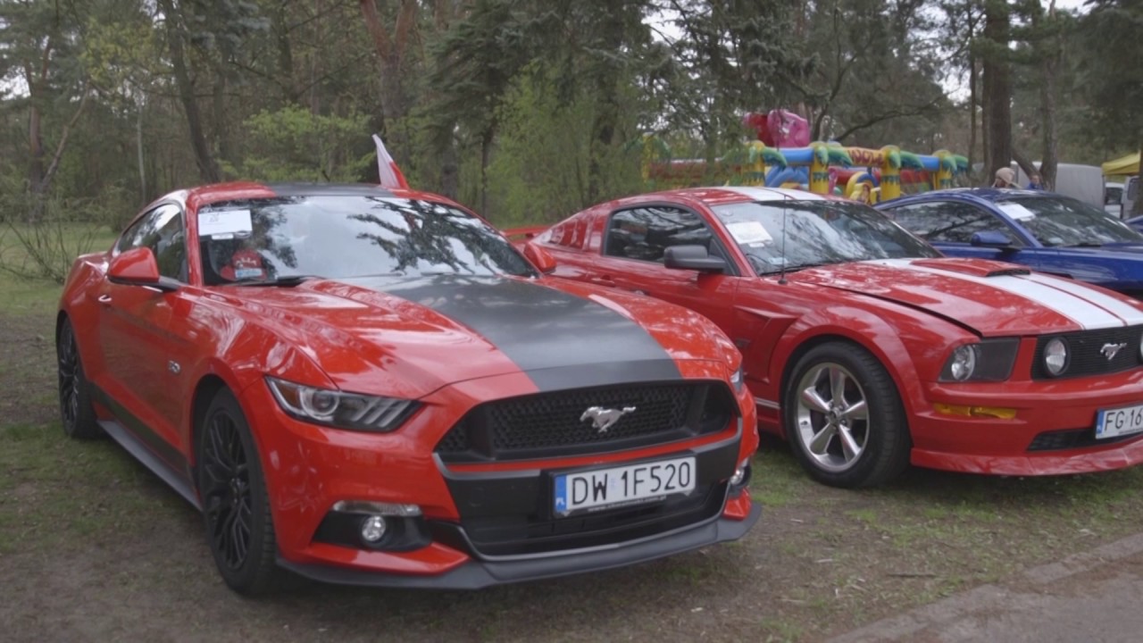 IX Ogólnopolski Zlot Mustangów - Relacja