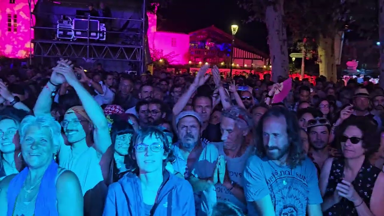 Tinariwen live 