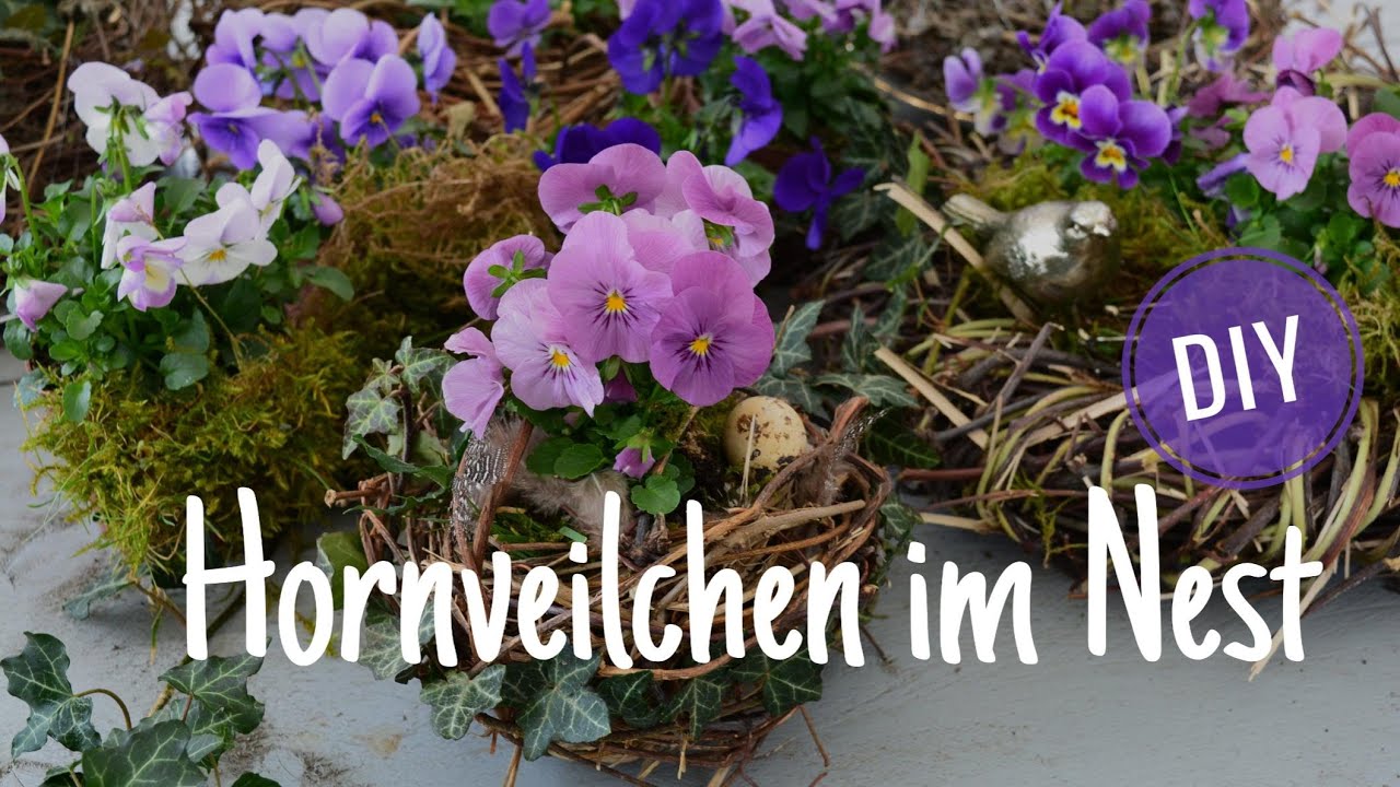 DIY: FRÜHLINGSDEKO - HORNVEILCHEN im NEST - natürliche DEKOIDEE