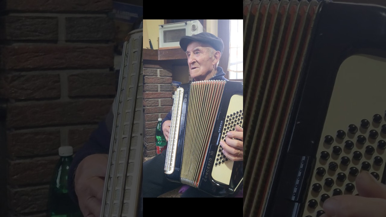 Nonno suona un bellissimo sottofondo con la fisarmonica