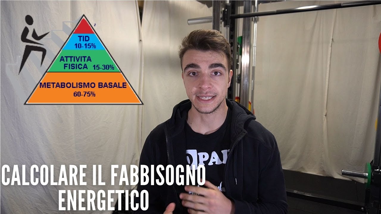 COME CALCOLARE IL TUO FABBISOGNO ENERGETICO✔ // tutto quello che devi sapere!