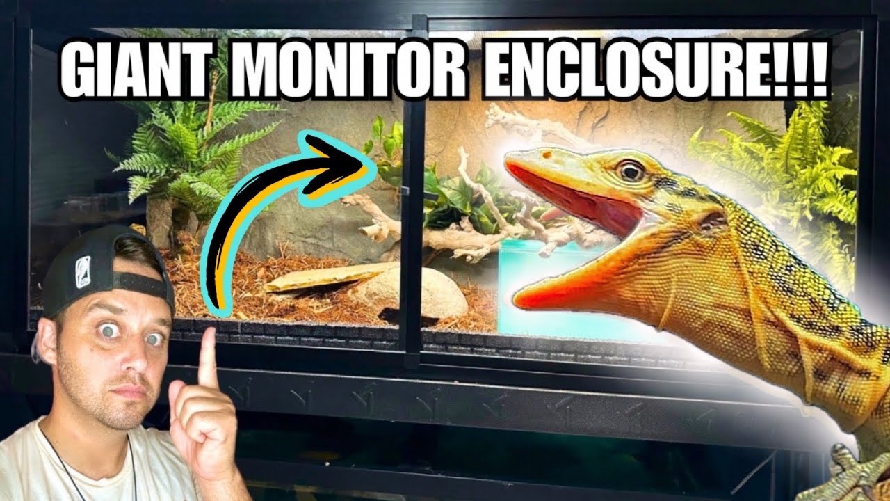 Monitor Lizard Enclosure! (CUSTOM CAGES!)