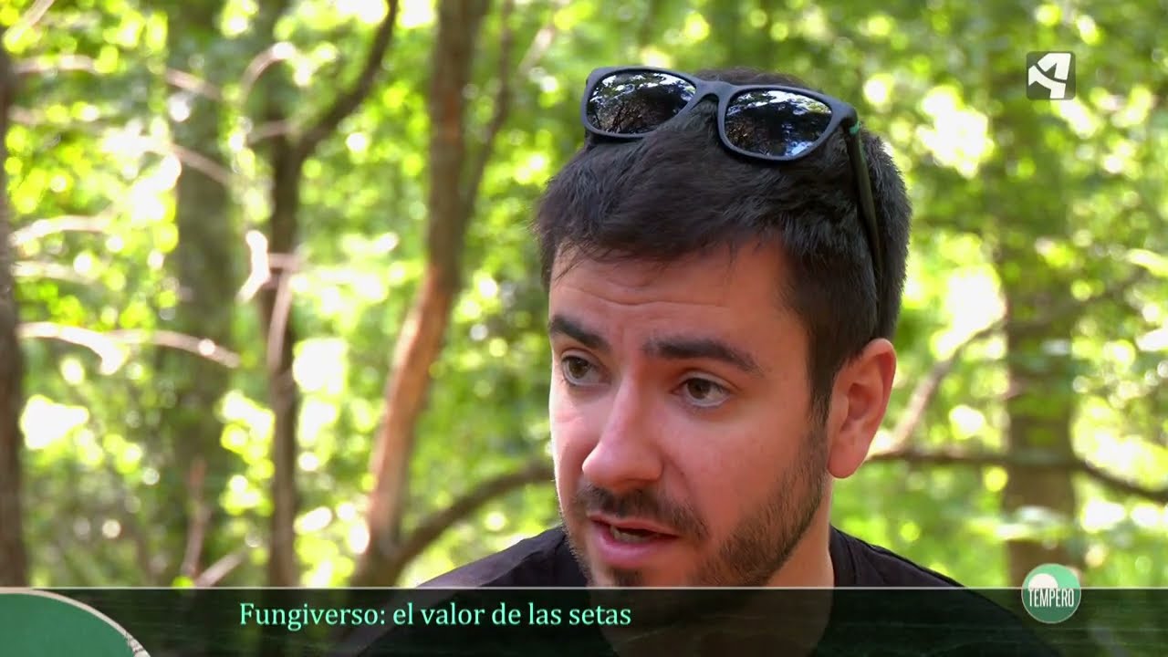 Fungiverso, el valor del recurso micológico