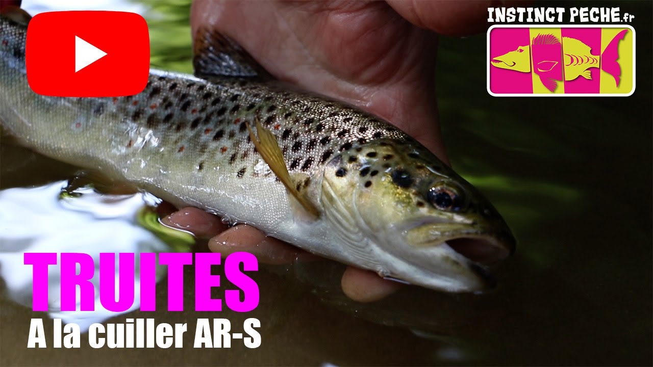 TRUITES A LA CUILLER AR-S