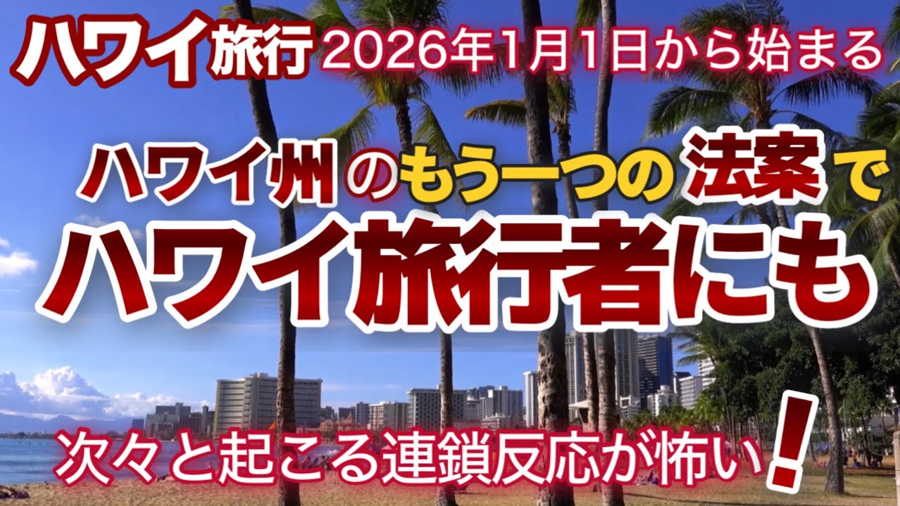 【ハワイ旅行】2026年１月１日から始まるハワイ州のもう一つの新法案で、ハワイ旅行者にも次々とこんな連鎖反応が起こります！|ハワイの今|ハワイ旅行情報|