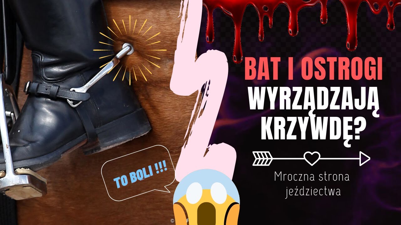 OSTROGI I BAT - czy można nimi skrzywdzić konia? 😬 | Mroczna strona jeździectwa
