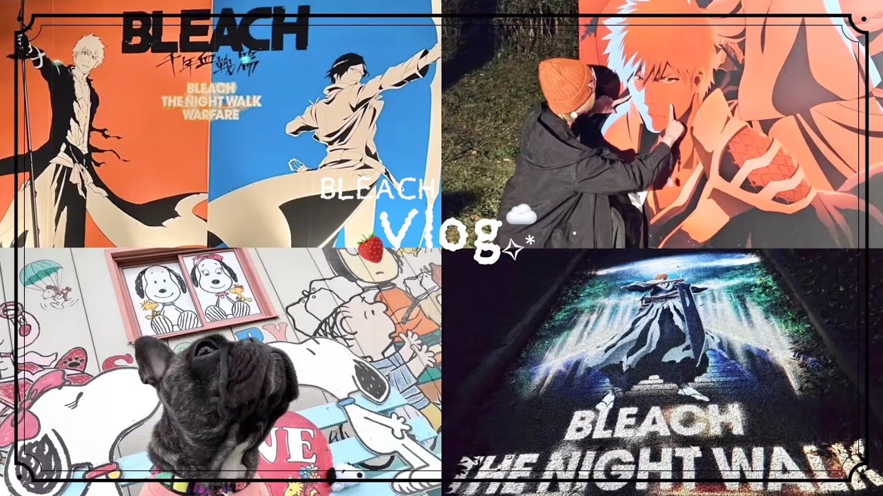 【BLEACH】 ‪꒰ঌVlog໒꒱ 尸魂界 訪問してきました✋🏻💞