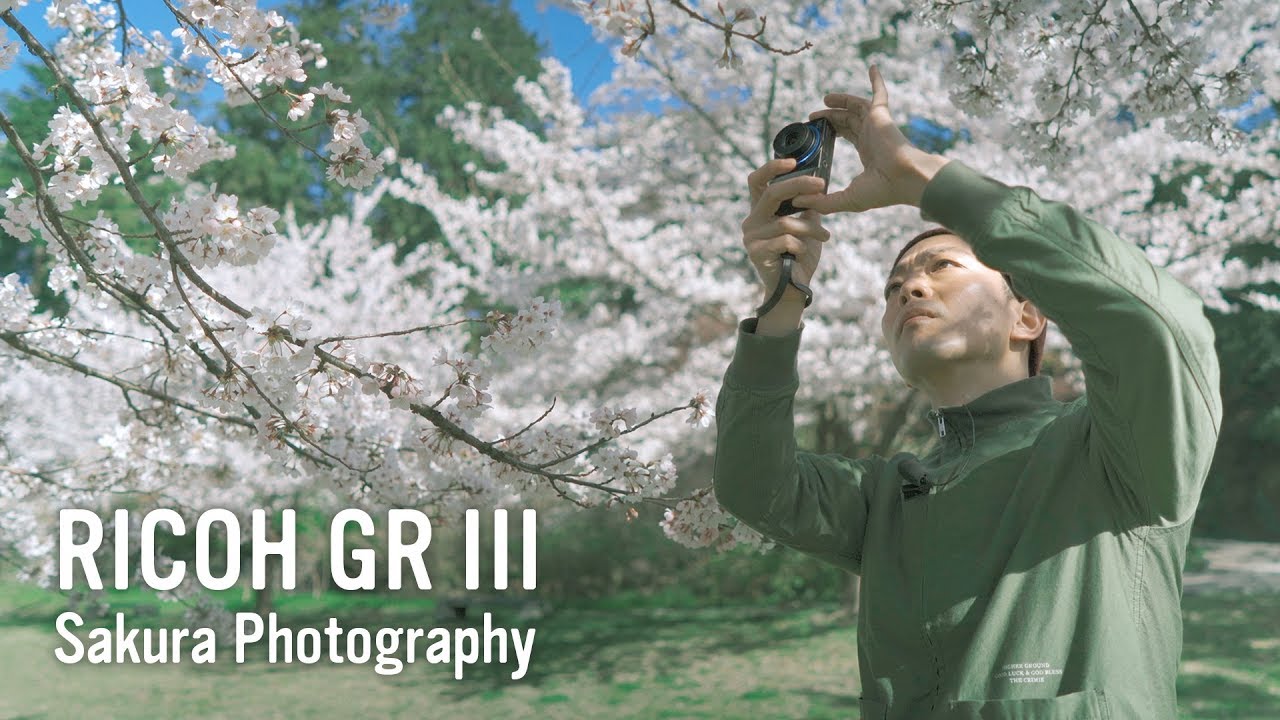 RICOH GR III (GR3) - Sakura Photography🌸