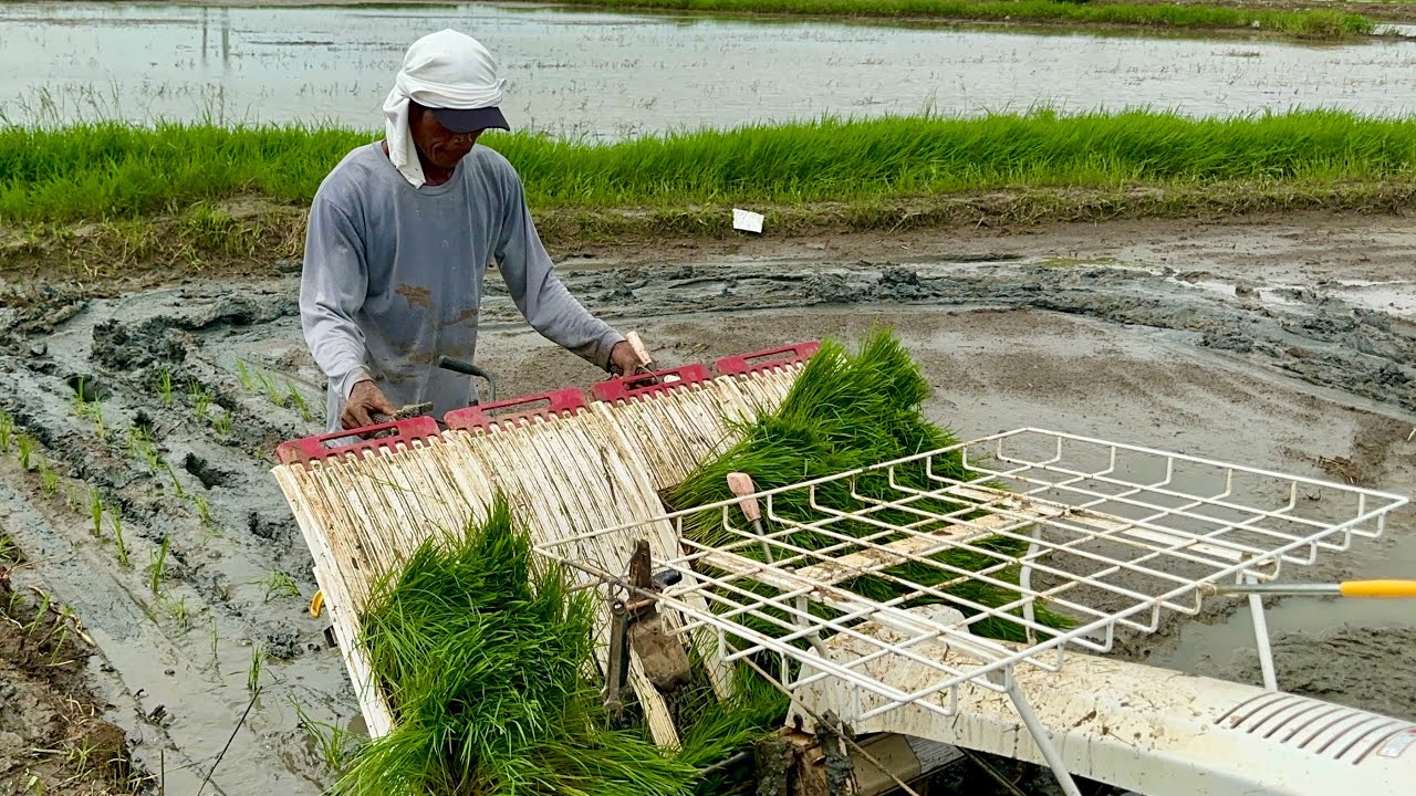 BEST EXAMPLE FARMER, Pano Kinakaya ang 60 Hectares na Palayan at Mas Malaki pang Pasaka sa Kanya?