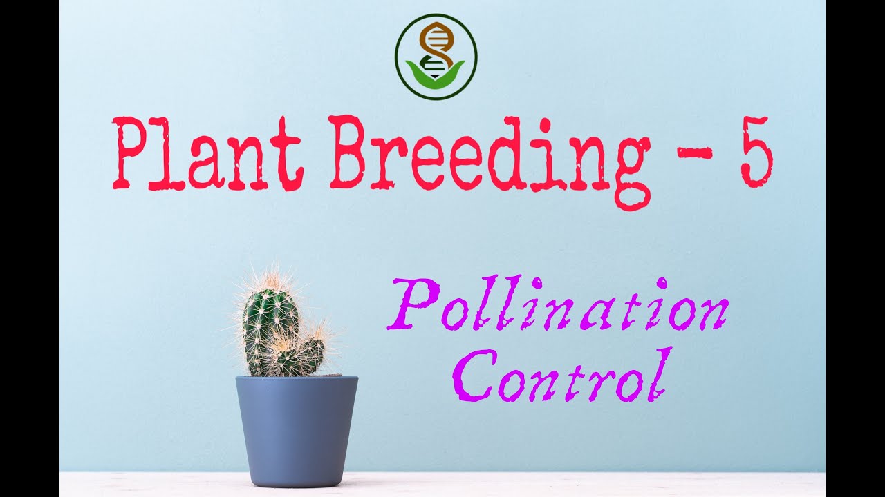 Mechanisms of Pollination | Pollination Control | Plant Breeding- 5 | Agriculture | ICAR-JRF