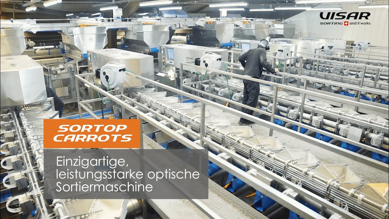 Visar Sorting Sàrl : Sortop Carrots - Sortierline mit 6 Sortiermaschinen Sortop Carrots