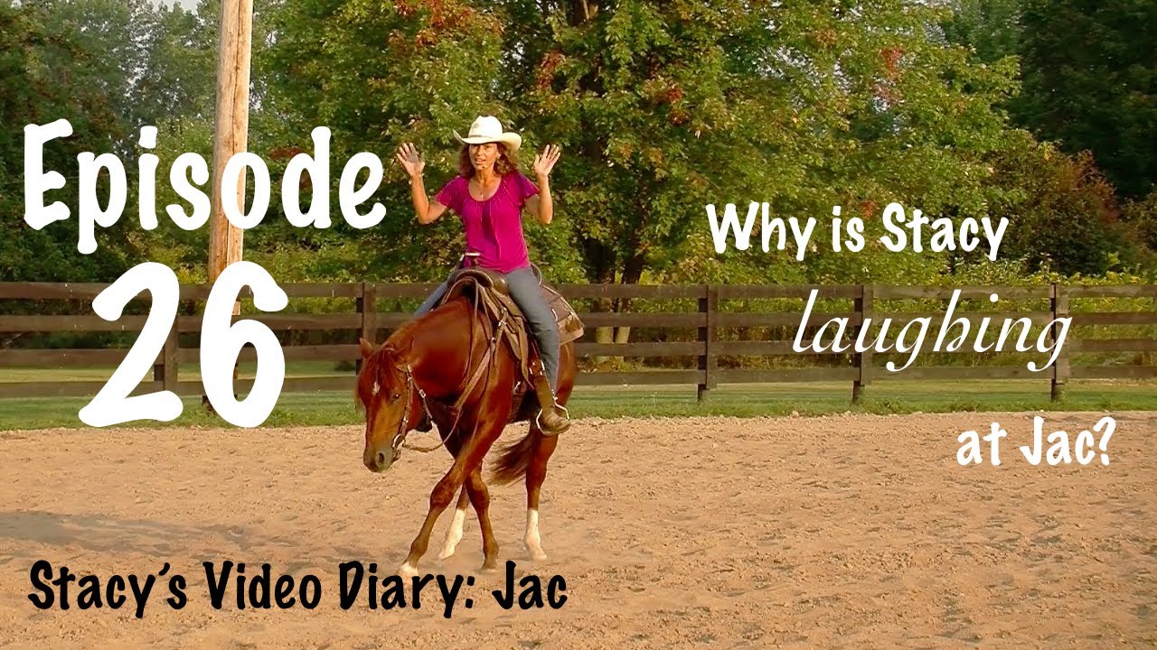 Stacy's Video Diary:Jac- Episode 26-Horse training is a conversation between horse and human