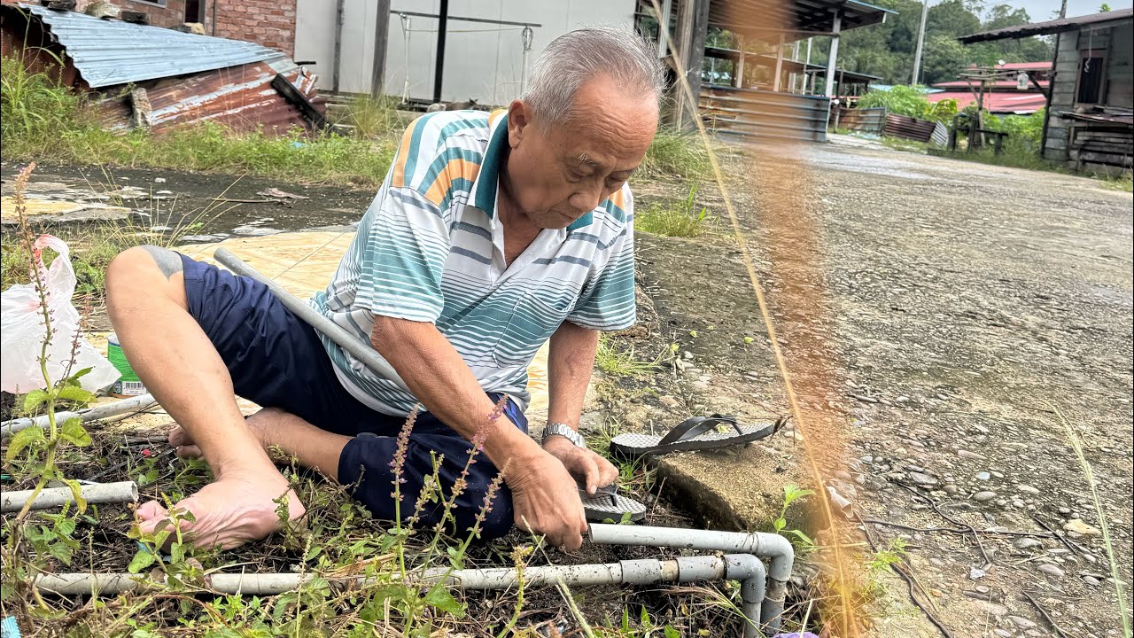 BANYAK TUGAS BUJANG SIGAT TUKAR PAIP BOCOR DAN BAGI BABI MAKAN // 