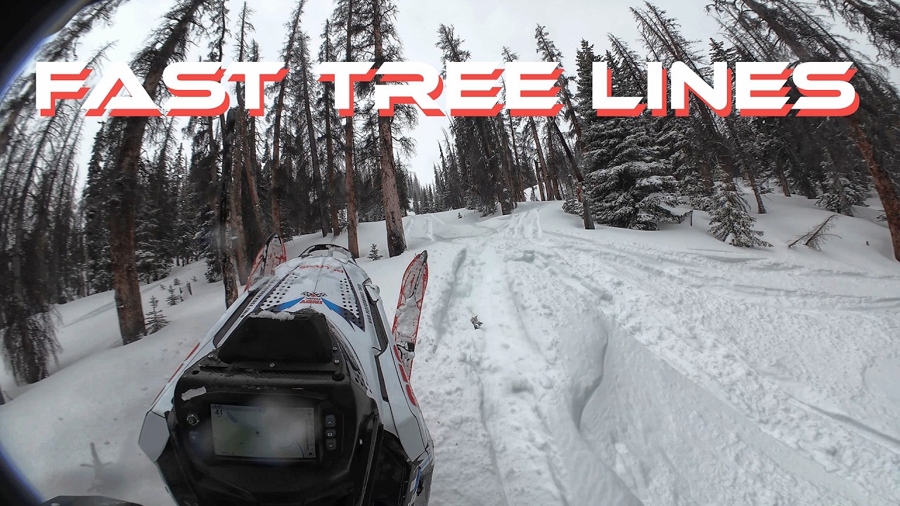 Raw POV Tree Lines