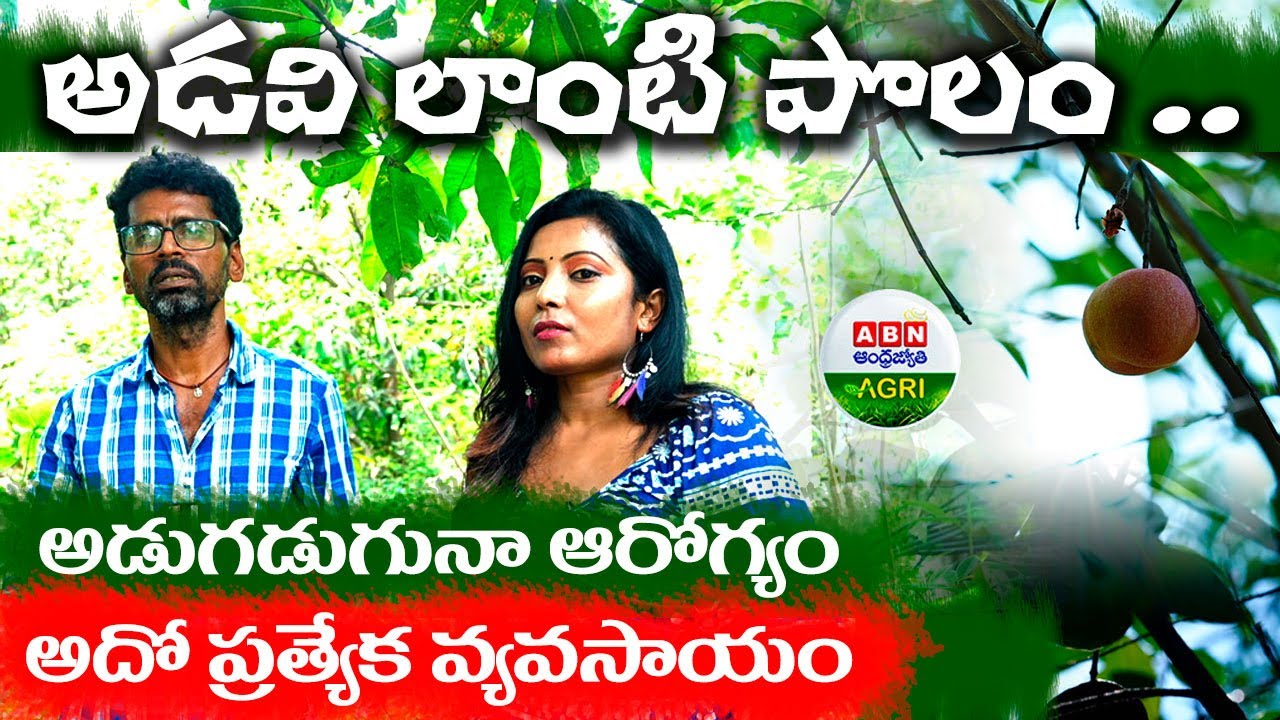అడవి లాంటి వ్యవసాయం - ఇదో సహజమైన ప్రపంచం | Farming is like a forest it's a natural world - ABN Agri