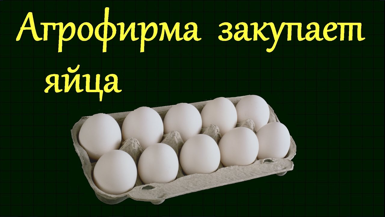 Теория вероятности из ЕГЭ и ОГЭ по математике