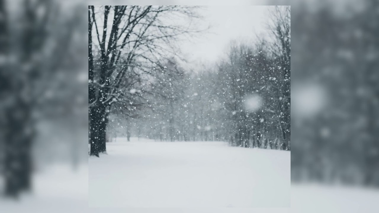 Snowy Days