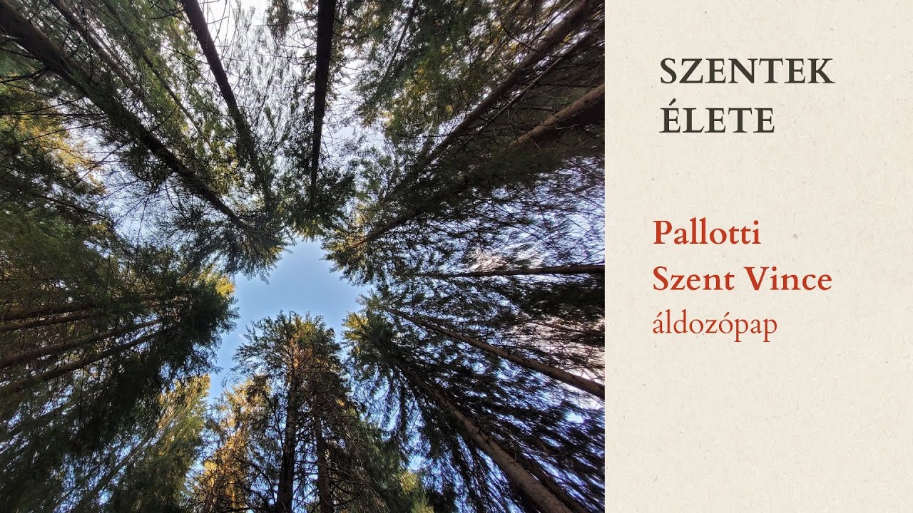 Pallotti Szent Vince  - SZENTEK ÉLETE