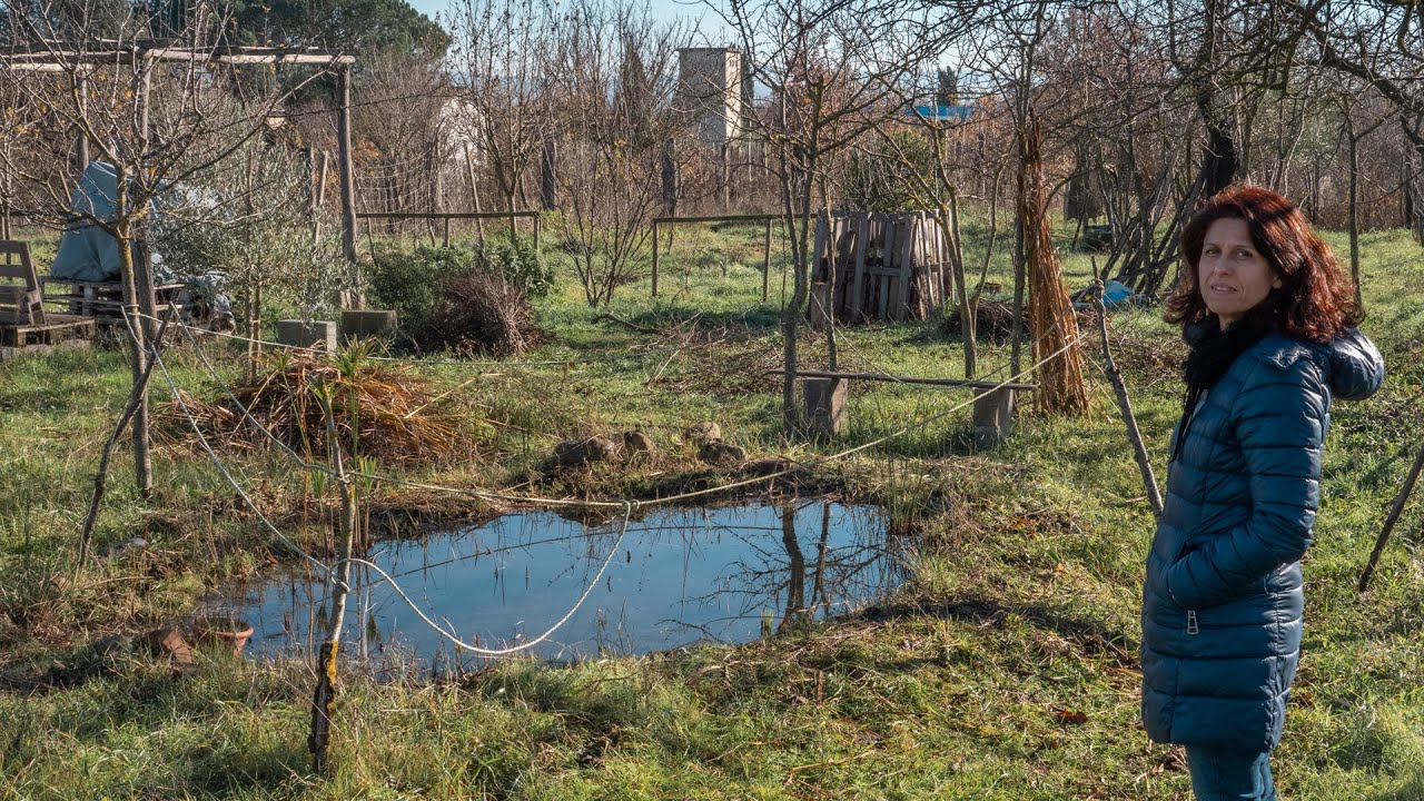 STAGNO NELL'ORTO, MANUTENZIONE DEL LAGHETTO