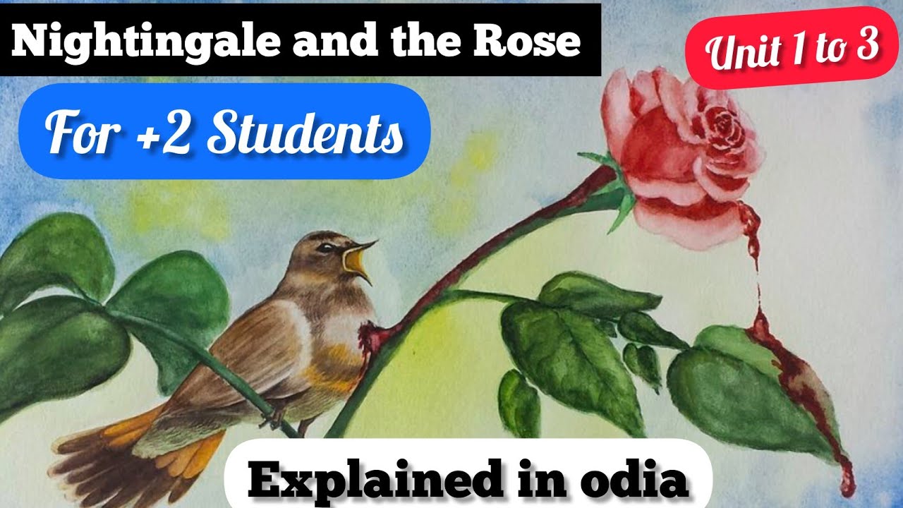Nightingale and the Rose Explained in odia Unit-1 to 3