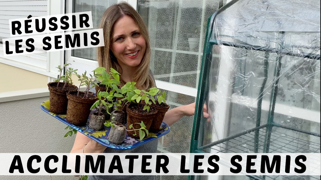 ACCLIMATER LES SEMIS : SUIVEZ-MOI DANS L'ACCLIMATATION DE MES SEMIS POTAGERS