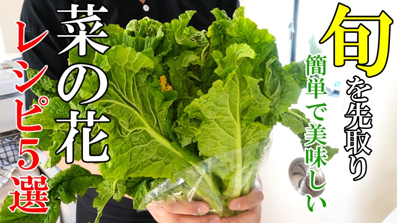 ♢旬！『菜の花レシピ５選！』☆どれも簡単でリピ確定！菜の花はこう食え☆