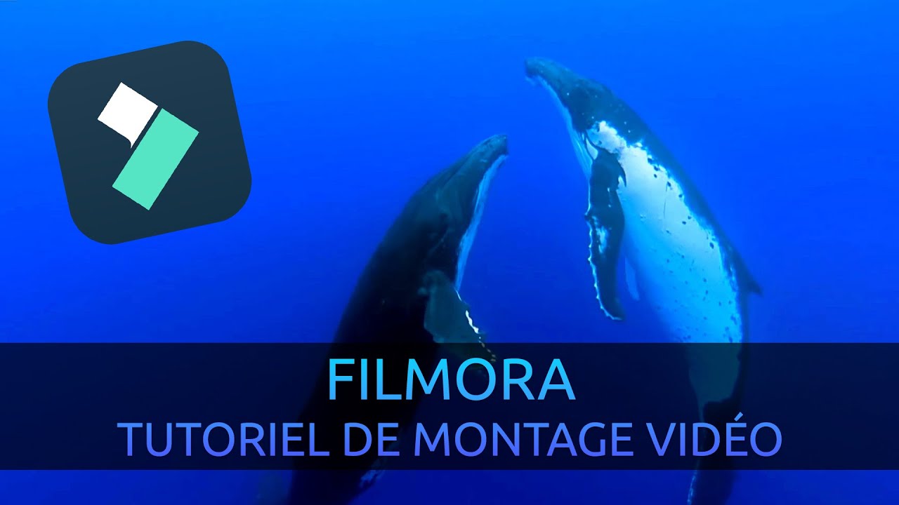 Filmora : montage vidéo complet pour débutants