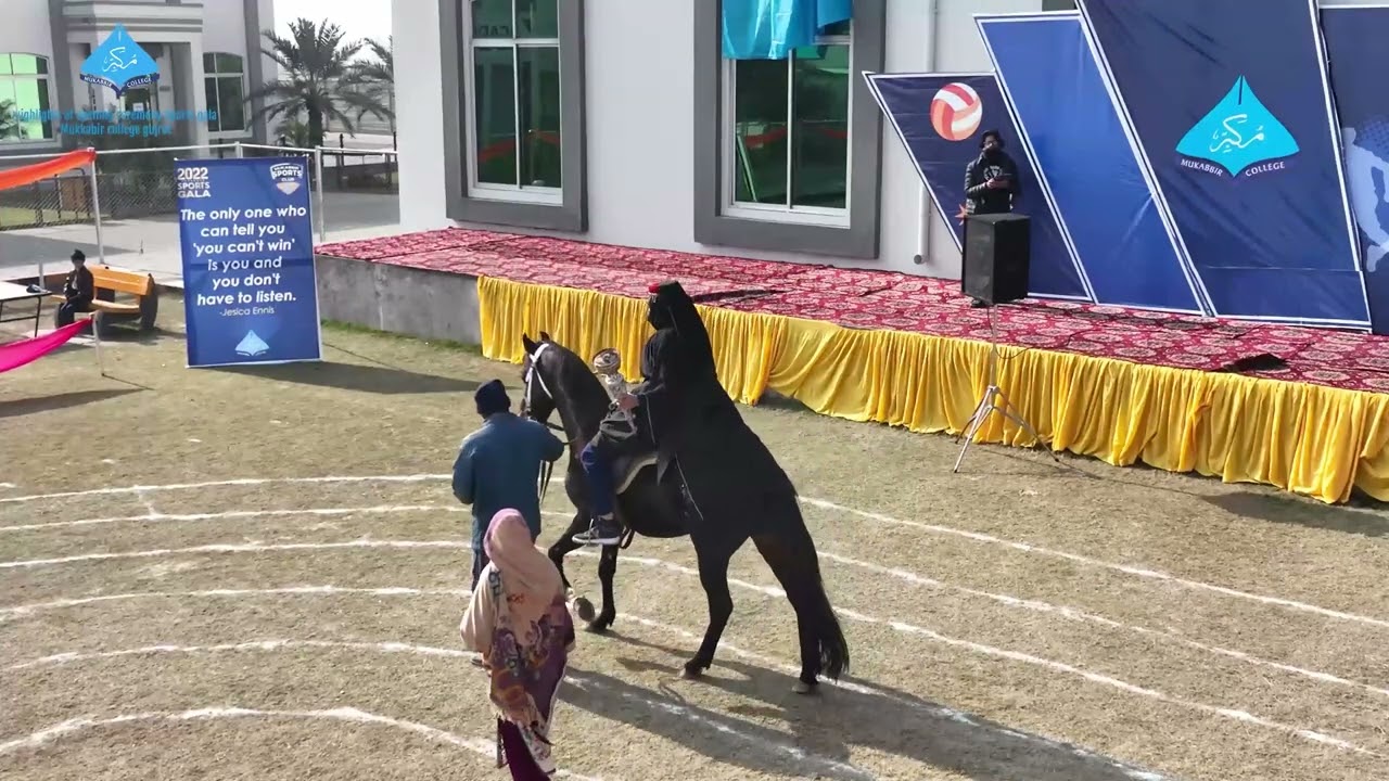 Sports Gala 2023 || Mukabbir College Gujrat #admissions #dpharm #tiktok #viral
