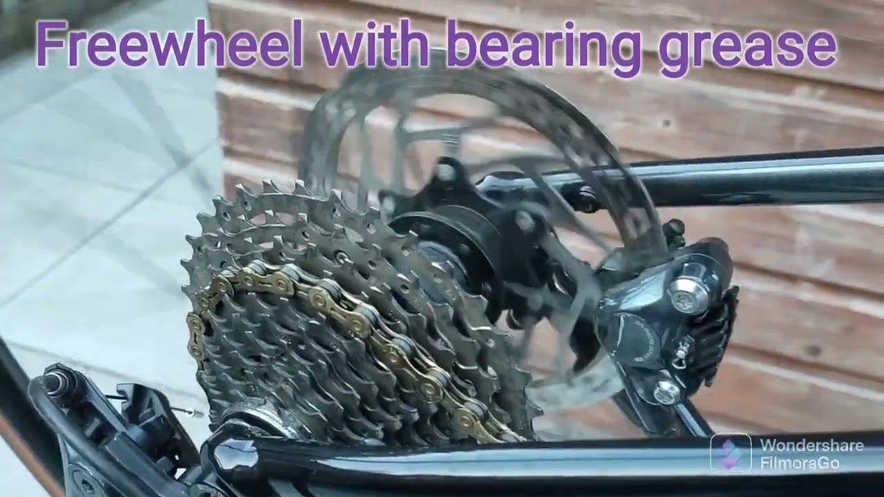 Fulcrum Racing 600 freewheel sound grease vs oil