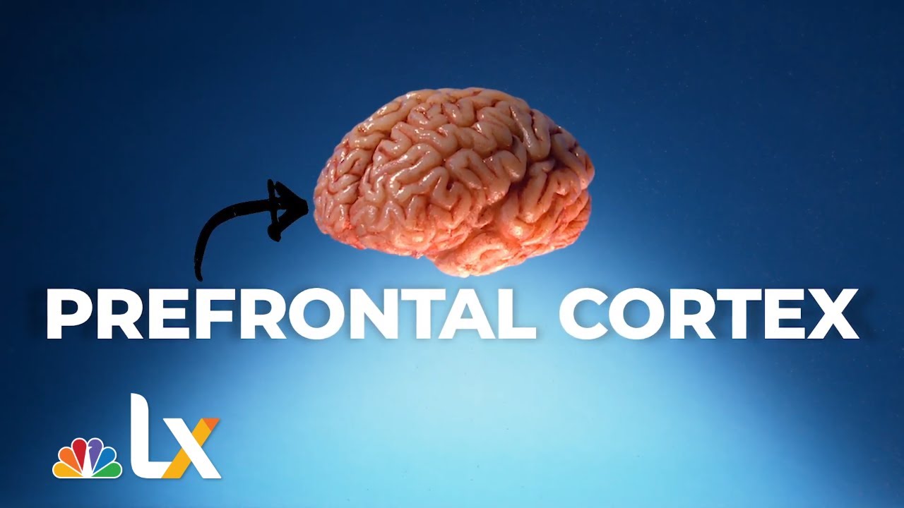 The Simple Act of Daily Writing Can Dramatically Improve Your Mental Health | NBCLX