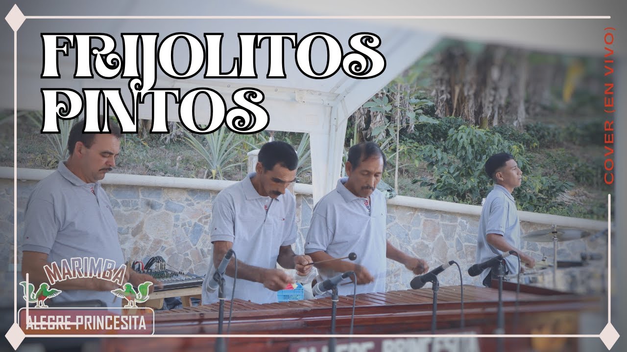 Frijolitos Pintos - cover Marimba Alegre Princesita (en vivo)