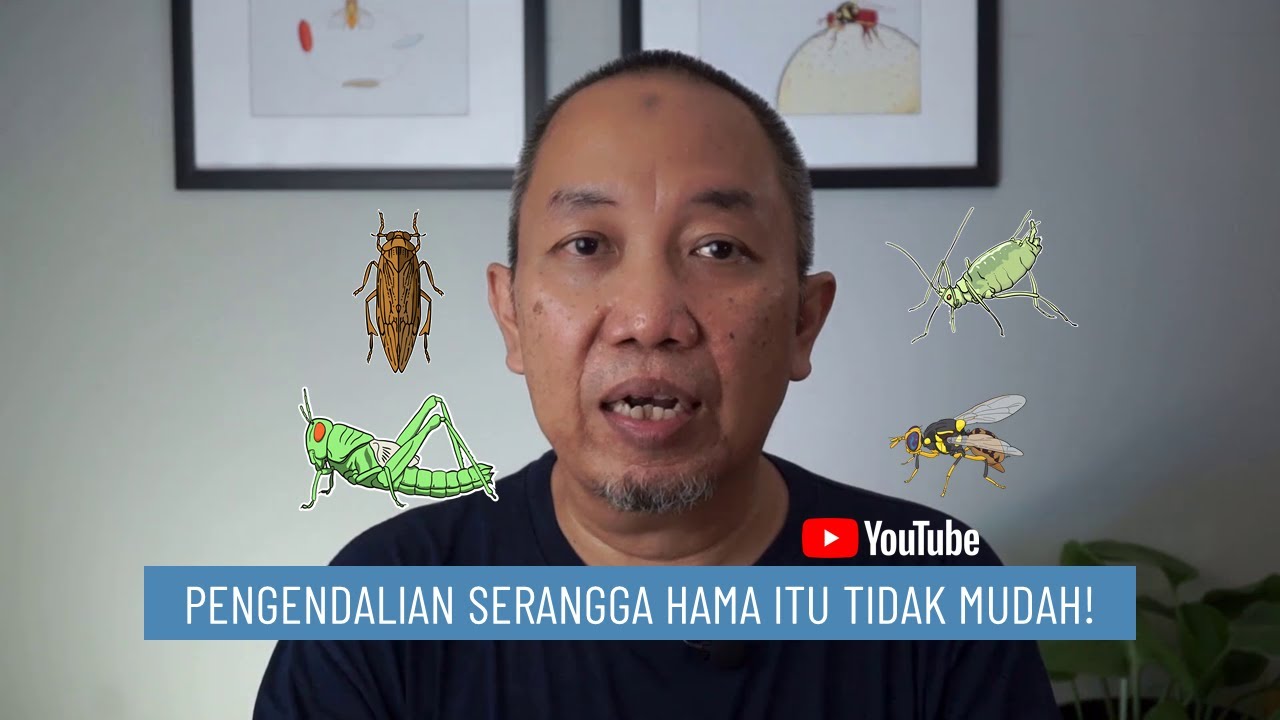 Pengendalian Serangga Hama itu Tidak Mudah!