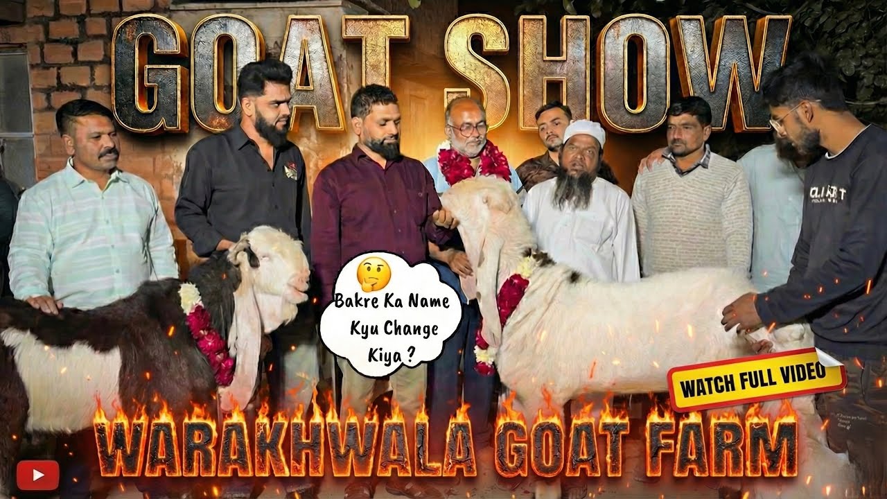 Coming Up🧐Goat Show 🥳|| MP Ka sabse bada goat show Talk with warakhwala goat farm @patirahouse #goat