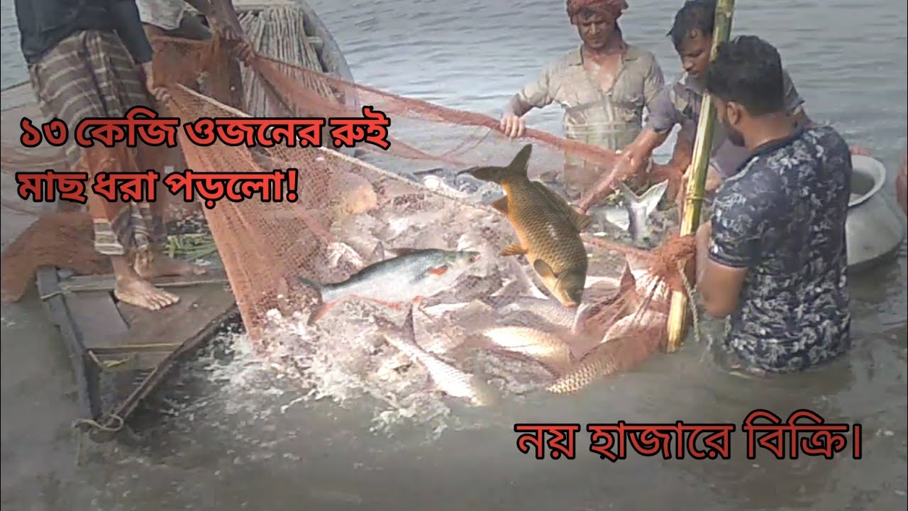 How To Catch Fish In Animal Crossing New Horizons | জেলেদের জালে ধরা পড়লো বিশাল বড় মাছ |