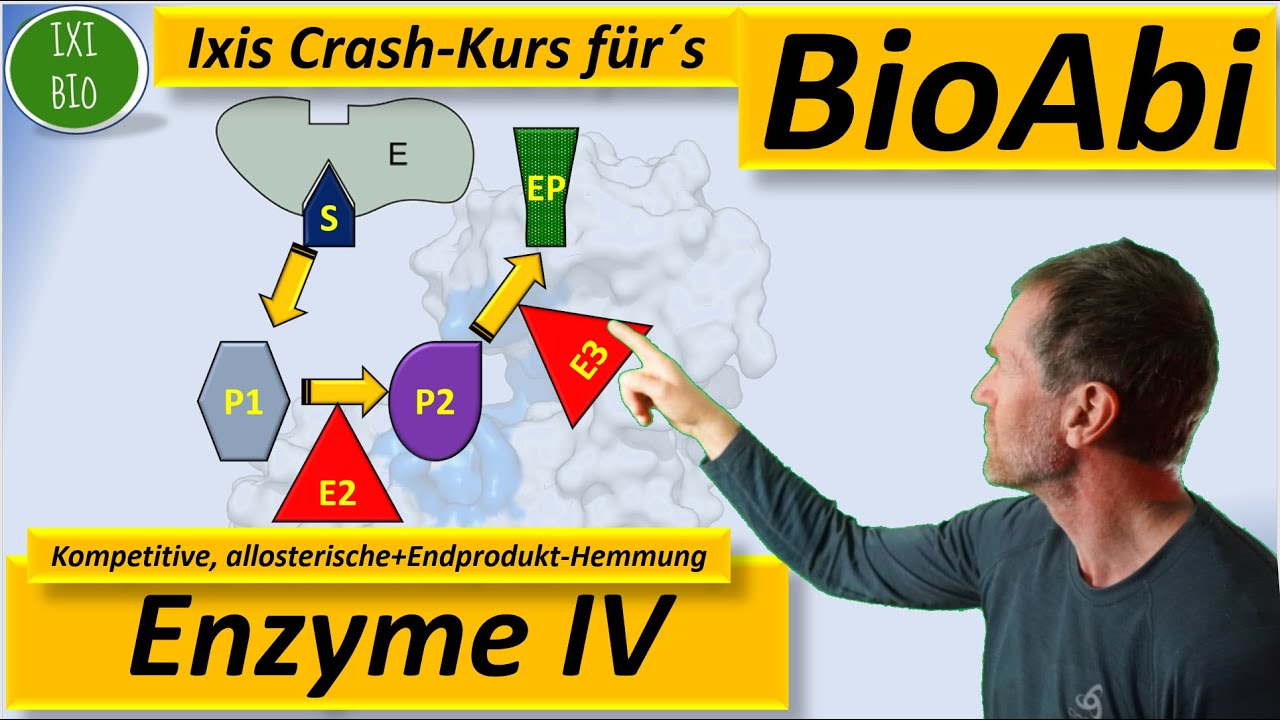 Enzyme 4: Anwendungsaufgaben kompetitive Hemmung, allosterische Hemmung, Endprodukthemmung - BioAbi