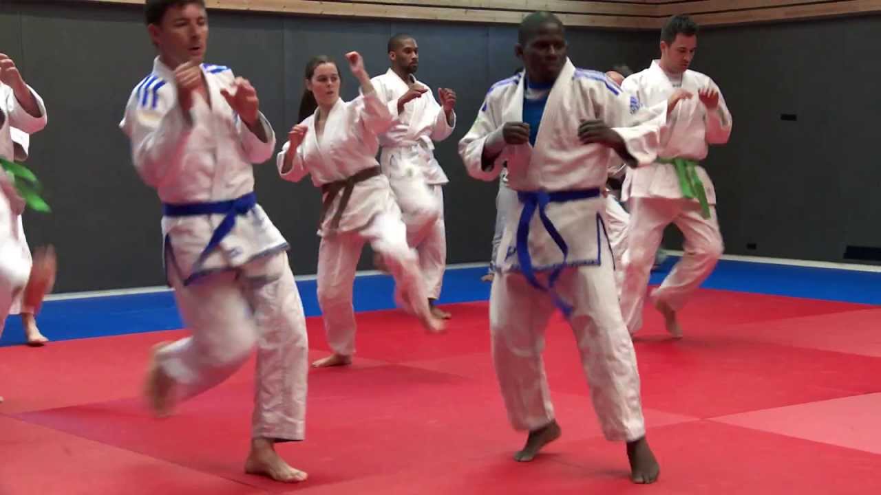 Présentation des cours de Ju Jitsu Fighting System - Arts Martiaux Noisy le Grand