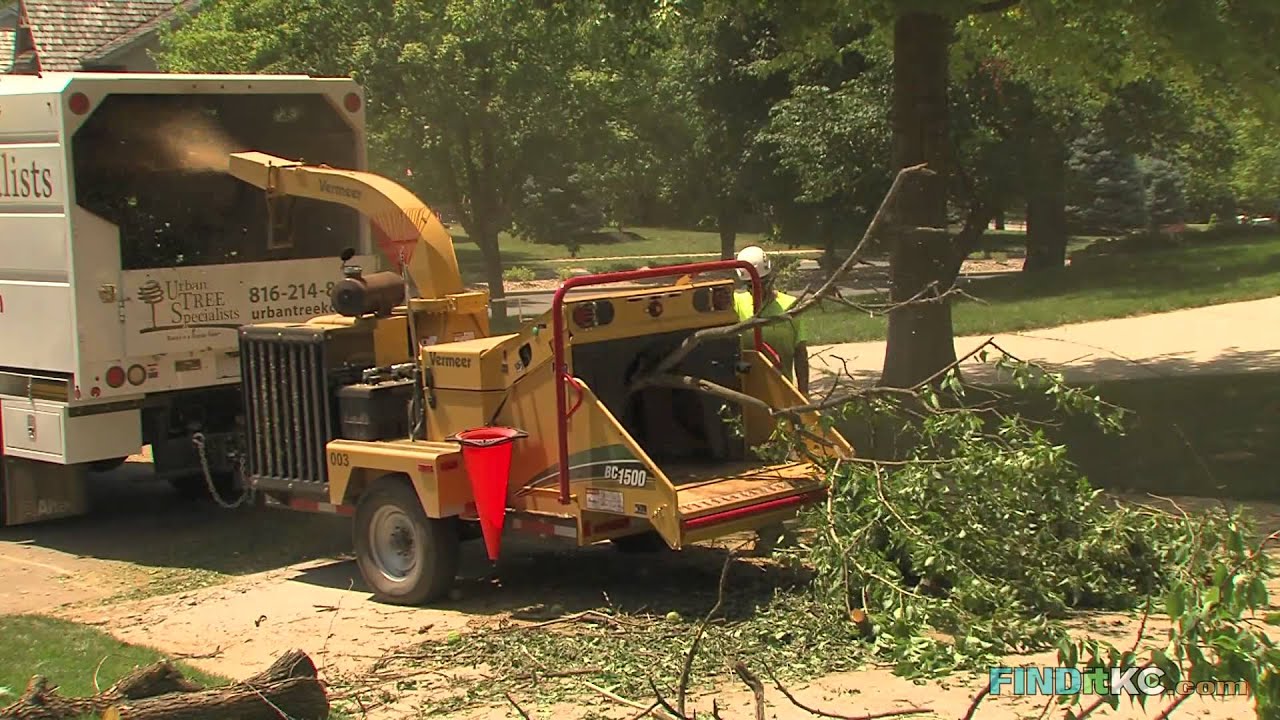 Urban Tree Specialists | FINDitKC